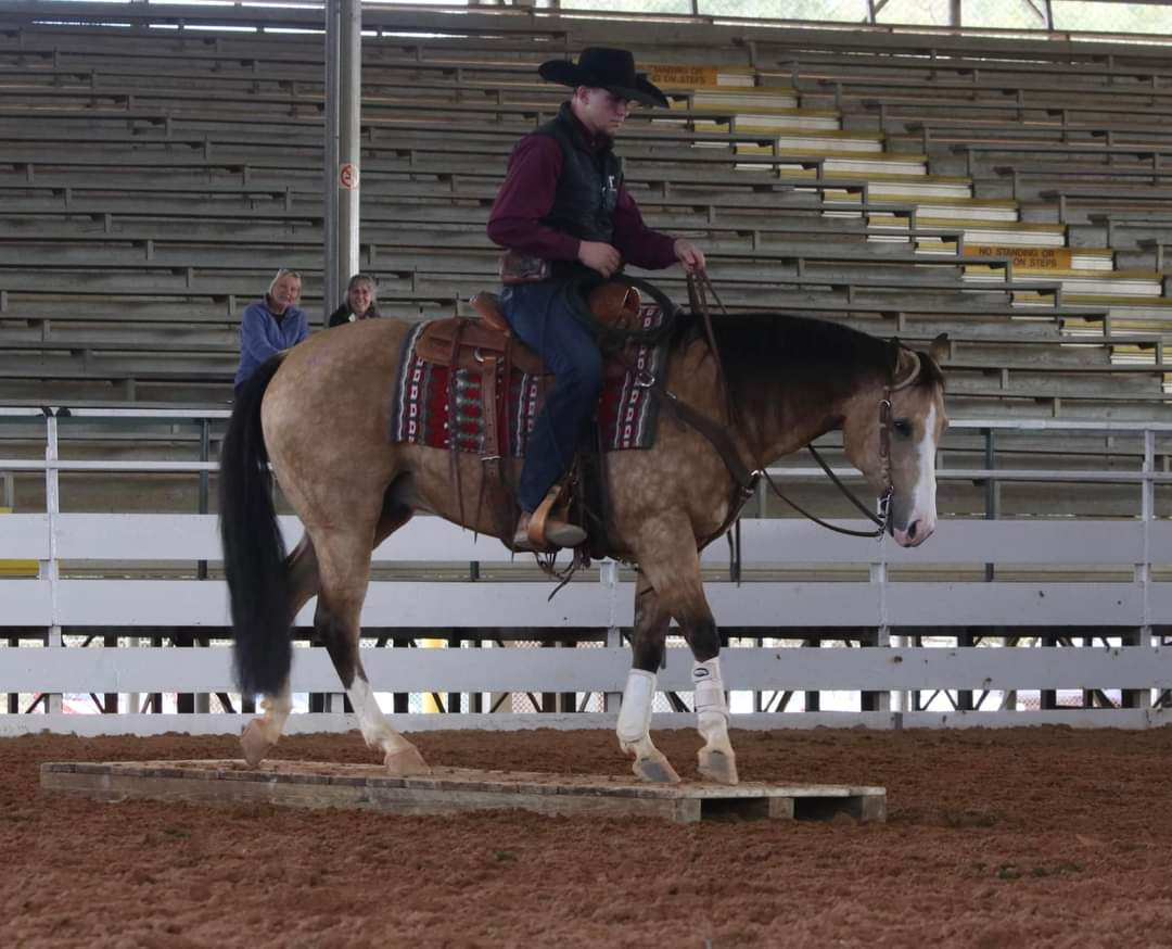 Trust & Respect Clinic with Nathan and Karen Raber