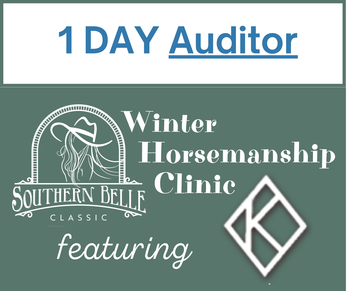 Winter Horsemanship clinic with Diamond K 1 Day Auditor
