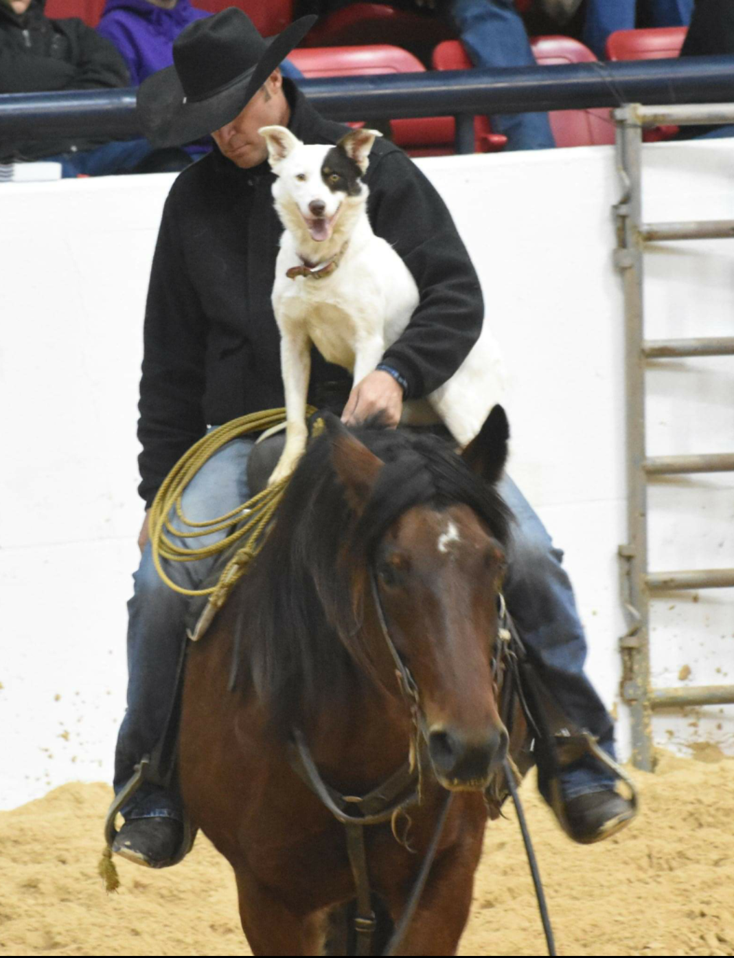 A Simplified Approach to Problem Solving with Teryn Muench