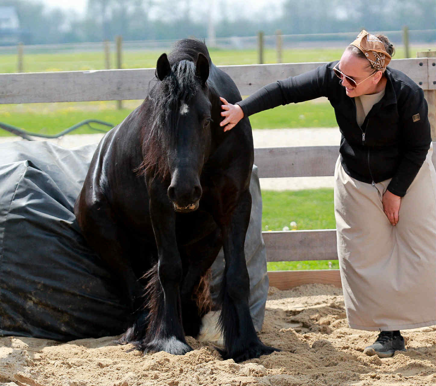 Liberty and Trick Training with Eli and Hannah Stutzman