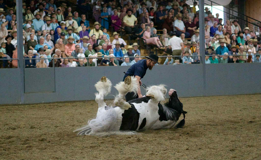 Liberty and Trick Training with Eli and Hannah Stutzman