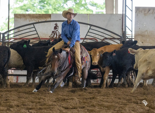 Cutting and Herd Work with Terry Tietjen
