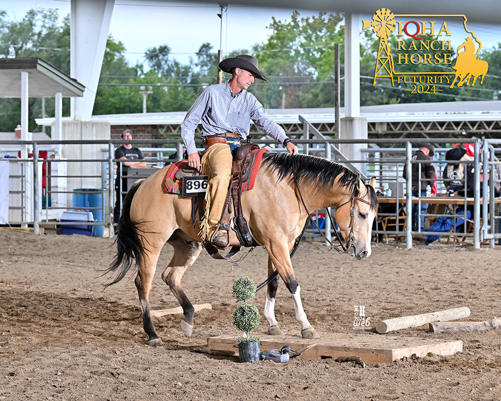 Cutting and Herd Work with Terry Tietjen