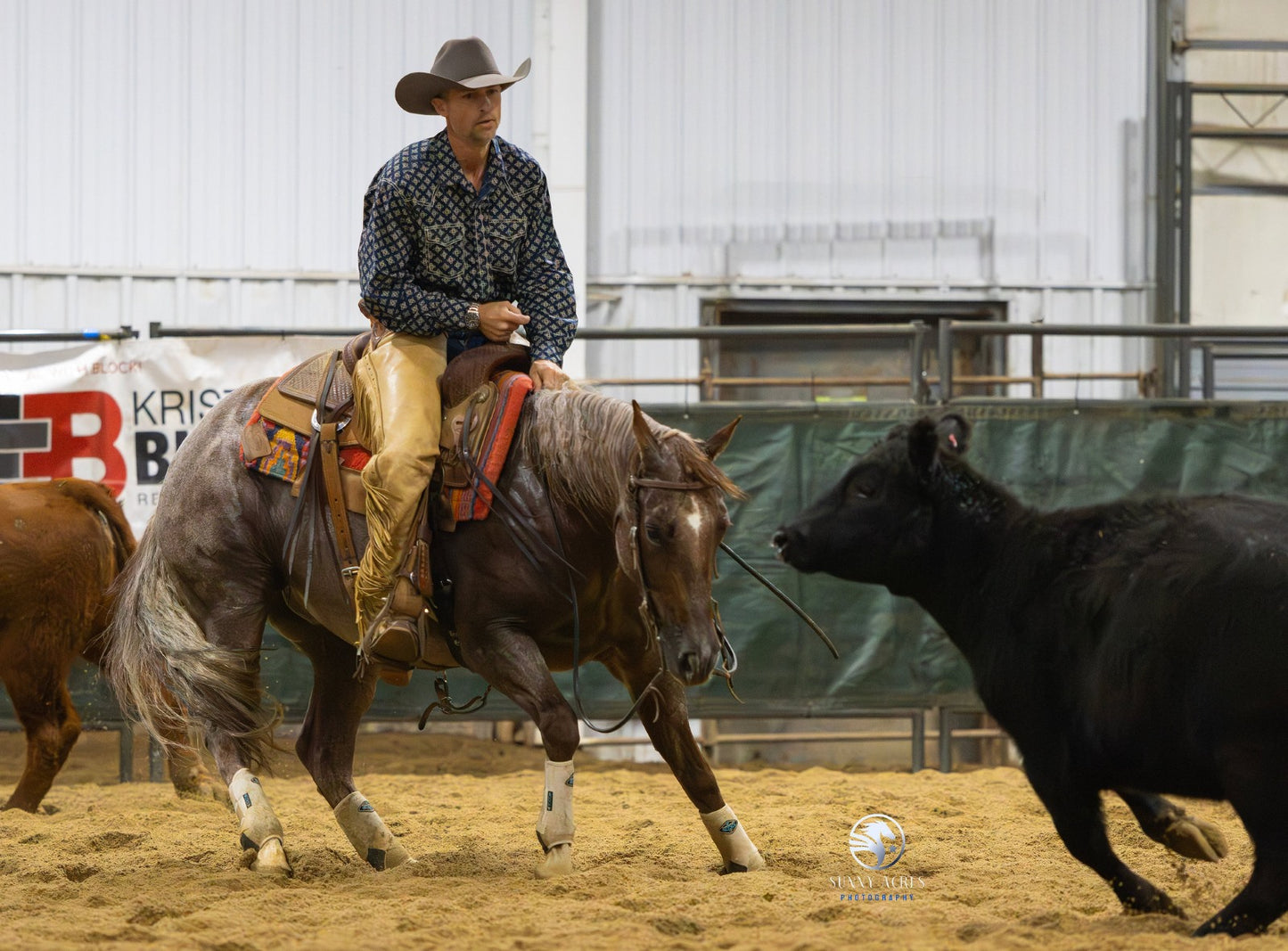 Cutting and Herd Work with Terry Tietjen